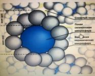 ����������� ������ � ��������� ������� ����� �� ������������