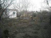 ������� ���-������� � �������� ����� �� �������� � ��������