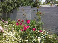 ������� ��� 78 � 2 � ����������� � ����������, �������� 9 ��� � ����� ����������� ������� �� 3-� ��������� �������� � ��������+ �������