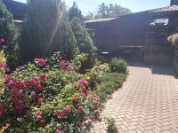 ��� �������� � ���������. ������� ������� ��������� 320 �, ����������, ��������� ��� �� 40 �������, �������