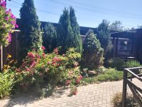 ��� �������� � ���������. ������� ������� ��������� 320 �, ����������, ��������� ��� �� 40 �������, �������