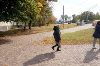 �������� ������������ �� ������� ��������� ���. ���������� (�����. �. �����) �� ������ ����������� ��-��