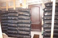 ���� � ������ ����� ����� �� ����������� �����, ���� ����������� � �. ����� �� ������ ��������. ����� �����������