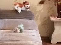 ������� ���� 1 � �������� �� ��������, 524 ����������, ����� ������ ����� �� 5 ����� ������! ������, ����������