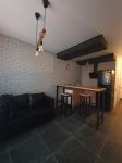 ������ 1 �. �� � ��������� �� ���. ��������- �������� � �������� LOFT, ����� ������� � �������� ����. 45 � 2 �����-������