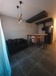 ������ 1 �. �� � ��������� �� ���. ��������- �������� � �������� LOFT, ����� ������� � �������� ����. 45 � 2 �����-������