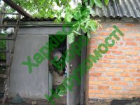 ������ 1/2 ���� 50 ��. �. 3 ������� �-� ����-�������� ���. �������������� ��. ��������. ����� ���������, ��� ������������