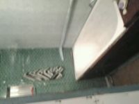 ������ ������� ���. � ������ ��������. 60 � 2.3 �������, ����� ��� �������� � ����, 15 ����� �����, �� ��������� � ������