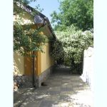 ������ 2-� ������� ���. ����������: ����-�������� (�� ��������������) � �������� ���������������. �������� ����: