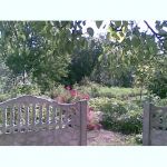 ������ 2-� ������� ���. ����������: ����-�������� (�� ��������������) � �������� ���������������. �������� ����: