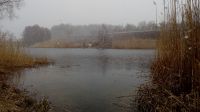 2000 �. �. ��������� ������������ ���� ���������� � ������� ������ ������� � ����� ����� � �������. � ����