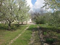 ������ ���������� ��� � ������� , ���������� �-�. 22 �� �� ��������. ������� �� ����� �������. 20 ����� ������
