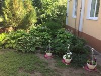������ ��� �� �� ���������� � �����, ��� �� �������� ������� 70-� ����� ���������, ������� �� ���������, ���������� ������