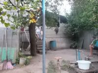 ������ ��������������� ��� �� �������, 60 �., 6 �����, ���� �����������, ����������� ���, �������� � ����, �����, 3 �������