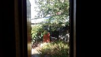35 000 �. �. ��������� ������������ "����" ���������� � ������� ��������� ����� ���� �� �����