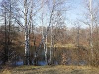 ������! ������ ����-�������, ���. ��������, ��"��������", �-� ������ �����, ������� 8 �����, ������