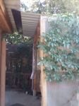 � ������� ��� 50 � �� �������� � � �����, � �������� ����� ���������, ��� ��������, 2 ���������� ������� ���� ���������