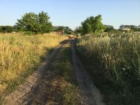 ������ ������� 10 ����� � ����������. ������������, ����������� �����. ��������� ����� � ���������� ������
