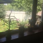 ������ ��� ������� ����� ���� � 10 ������� ������ �� �. �������� ���� �� ����� ������ � �������. ���� �����. �������