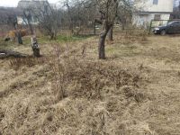 ������ ������� 6 ����� �� ������ : ��-� ����� 65, ������� ����. ������ ������� 6 ����� �� �������� ���� , �� ��-�� �����