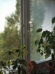 211617068 � 2 ������ 2-� ��������� �������� � ���� ���������� ���� �� �������� . 211617068 � 12 ������� � ��������
